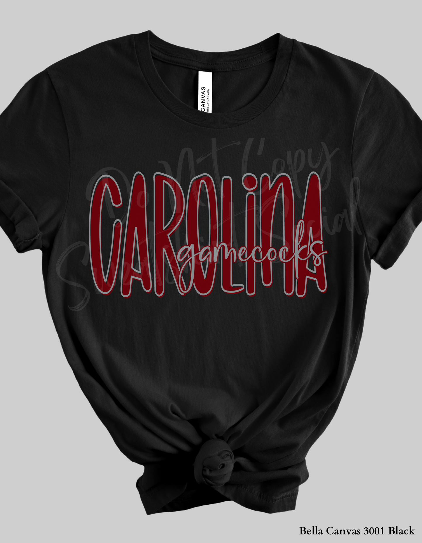 Carolina Gamecocks Lettered Look Tee or Sweatshirt – Adult Sizes