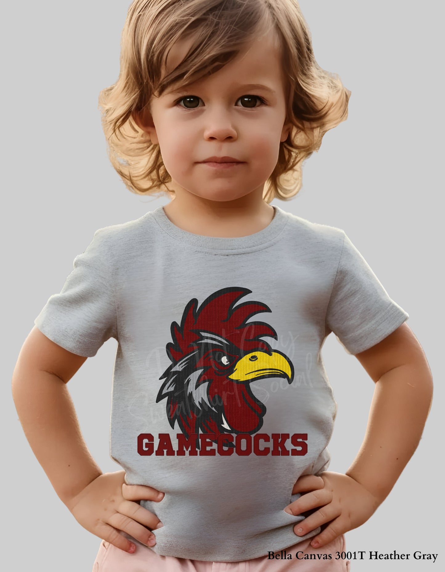 Kids Gamecocks Corduroy Look Shirt – Textured Mascot Design (Infant, Toddler & Youth Game Day Tee)